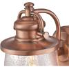 Westinghouse 6204000 Emma Jane One-Light Outdoor Wall Lantern, 1-Pack, Amber Bronze(White)