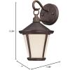 Westinghouse 6204100 Darcy One-Light LED Outdoor Wall Fixture, Victorian Bronze Finish with Amber Frosted Glass