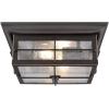 Westinghouse 6204800 Orwell Two-Light Outdoor Flush-Mount Fixture, Textured Black Finish on Steel with Frosted Seeded Glass(Oil Rubbed Bronze and Clear Glass)