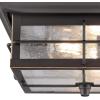 Westinghouse 6204800 Orwell Two-Light Outdoor Flush-Mount Fixture, Textured Black Finish on Steel with Frosted Seeded Glass(Oil Rubbed Bronze and Clear Glass)