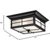 Westinghouse 6204800 Orwell Two-Light Outdoor Flush-Mount Fixture, Textured Black Finish on Steel with Frosted Seeded Glass(Textured Black)