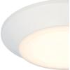 Westinghouse 6321900 Small LED Indoor/Outdoor Dimmable Surface Mount Wet Location, Brushed Nickel Finish with Frosted Lens, No Size(White Finish)