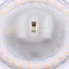 Westinghouse 6321900 Small LED Indoor/Outdoor Dimmable Surface Mount Wet Location, Brushed Nickel Finish with Frosted Lens, No Size(White Finish)