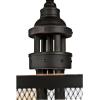 Westinghouse 6332900 Walter Four-Light Indoor Chandelier, Oil Rubbed Bronze Finish with Highlights and Mesh Shade