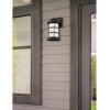 Westinghouse 6347800 Barkley One-Light LED Outdoor Wall Fixture, Galvanized Steel Finish with Clear Seeded Glass(Matte Black)