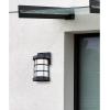 Westinghouse 6347800 Barkley One-Light LED Outdoor Wall Fixture, Galvanized Steel Finish with Clear Seeded Glass(Matte Black)