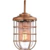 Westinghouse 6347900 Ferry One-Light Outdoor Wall Fixture, Washed Copper Finish with Clear Seeded Glass,(Washed Copper)