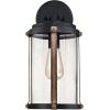 Westinghouse 6358800 Armin One-Light, Textured Black Finish with Barnwood Accents and Clear Seeded Glass OUTDOOR WALL Fixture,(Black – Seeded Glass)