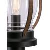 Westinghouse 6578800 Canyon Rustic One-Light Outdoor Post Top Light Fixture Textured Black and Barnwood Finish, Clear Glass(Textured Black)