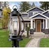 Westinghouse 6578800 Canyon Rustic One-Light Outdoor Post Top Light Fixture Textured Black and Barnwood Finish, Clear Glass(Textured Black)
