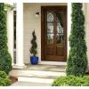 Westinghouse 6688200 One-Light Outdoor Jelly Jar Wall Fixture, Oil Rubbed Bronze Finish with Clear Ribbed Glass
