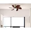Westinghouse 7224000 Turbo Swirl Indoor Ceiling Fan with Light, 30 Inch, Brushed Nickel(Antique Brass)