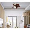 Westinghouse 7224000 Turbo Swirl Indoor Ceiling Fan with Light, 30 Inch, Brushed Nickel(Antique Brass)