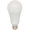 Westinghouse Lighting 5170000 25-Watt (150-Watt Equivalent) Omni A21 Daylight Medium Base LED Light Bulbs, Soft White