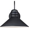 Westinghouse Lighting 6204400 Watts Creek Wall Lantern, Textured Black Finish on Steel(Textured Black)