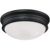 Westinghouse Lighting 6324100 Meadowbrook Two-Light Indoor Flush-Mount Ceiling Fixture, Matte Black Finish with Frosted Glass(Matte Black)