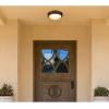 Westinghouse Lighting 6324100 Meadowbrook Two-Light Indoor Flush-Mount Ceiling Fixture, Matte Black Finish with Frosted Glass(Oil-Rubbed Bronze)
