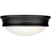 Westinghouse Lighting 6324100 Meadowbrook Two-Light Indoor Flush-Mount Ceiling Fixture, Matte Black Finish with Frosted Glass(Oil-Rubbed Bronze)