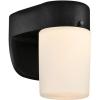 6106700 One-Light Dimmable LED Outdoor Wall Fixture with Dusk to Dawn Sensor, Black Finish with Frosted Opal Glass(Black)