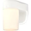 6106700 One-Light Dimmable LED Outdoor Wall Fixture with Dusk to Dawn Sensor, Black Finish with Frosted Opal Glass(White)