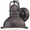6204600 Orson One-Light Dimmable LED Outdoor Wall Fixture, Oil Rubbed Bronze Finish with Frosted Prismatic Lens(Black)