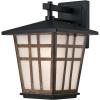 6358200 Rollins One-Light Outdoor Wall Fixture, Matte Black Finish with Barnwood Accents and Frosted Seeded Glass