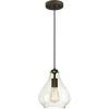 Westinghouse 6102600 Adjustable Mini Pendant, One-Light, Black(Black)