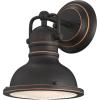 Westinghouse 6116100 Boswell Vintage-Style One-Light Indoor Wall Light Fixture, Oil Rubbed Bronze Finish with Highlights, Frosted Prismatic Acrylic Lens(1-Light)