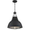 Westinghouse 6116300 Bartley Vintage-Style One-Light Indoor Pendant Light, Matte Black Finish with Dark Pewter Accents, Cage Shade