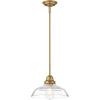 Westinghouse 6116600 Iron Hill Vintage-Style One-Light Indoor Pendant Light, Oil Rubbed Bronze Finish with Highlights, Clear Seeded Glass(Clear Seeded Glass Shade)