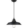 Westinghouse 6116600 Iron Hill Vintage-Style One-Light Indoor Pendant Light, Oil Rubbed Bronze Finish with Highlights, Clear Seeded Glass(Metal Shade)