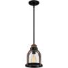 Westinghouse 6117800 Cindy Vintage-Style One-Light Indoor Mini Pendant Light, Brushed Nickel Finish, Clear Glass(Oil-Rubbed Bronze)