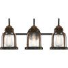 Westinghouse 6118200 Cindy Vintage-Style Three-Light Indoor Vanity Light Fixture, Oil Rubbed Bronze Finish with Barnwood Accents, Clear Seeded Glass