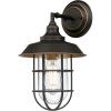 Westinghouse 6121600 Iron Hill Vintage-Style One Light Outdoor Wall Fixture, Black-Bronze Finish with Highlights, Clear Glass 9-Inch(9-Inch)