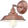 Westinghouse 6129100 Iron Hill Vintage-Style One Light Wall Fixture, Brushed Nickel Finish, Clear Glass(White)