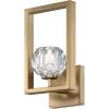Westinghouse 6131000 Zoa Contemporary One Light LED Indoor Wall Fixture, Brushed Brass Finish, Crystal Glass