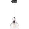 Westinghouse 6132800 Fiona Traditional One Light LED Indoor Mini Pendant, Brushed Nickel Finish, Clear Seeded Glass(Oil-Rubbed Bronze Finish)