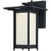 Black Photocell