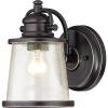 Westinghouse 6204000 Emma Jane One-Light Outdoor Wall Lantern, 1-Pack, Amber Bronze(Black)