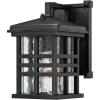 Westinghouse 6204500 Caliste 1 Light Outdoor Wall Lantern with Dusk to Dawn Sensor, Textured Black(Black)