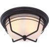 Westinghouse 6230300 Bonneville Two-Light Exterior Flush-Mount Fixture, Weathered Bronze Finish on Steel with Frosted Glass