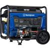6600 Watts - Gas Only - Electric Start