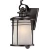 Westinghouse 6674100 Senecaville One-Light Exterior Wall Lantern, Weathered Bronze Finish on Steel with White Alabaster Glass