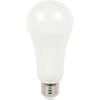 Westinghouse Lighting 5117000 125-Watt Equivalent Omni A21 Daylight LED Light Bulb with Medium Base, Soft White(1 Pack)
