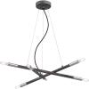 Westinghouse Lighting 6576600 Felix Six-Light LED Indoor Chandelier, Distressed Aluminum Finish with Brushed Nickel Accents