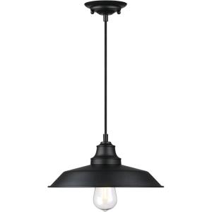 Westinghouse 6116600 Iron Hill Vintage-Style One-Light Indoor Pendant Light, Oil Rubbed Bronze Finish with Highlights, Clear Seeded Glass(Metal Shade)
