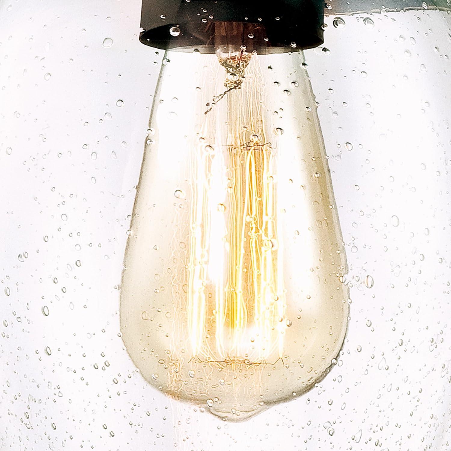 image:imageWestinghouse 6333200 Eldon OneLight Indoor Wall Fixture Oil Rubbed Bronze Finish with Highlights and Clear Seeded Glass