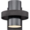 Westinghouse 6369100 Exton One-Light Indoor Wall Sconce Light Fixture, Distressed Aluminum Finish with Gun Metal Shade, Black(Wall Sconce)