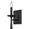 Westinghouse 6324000 Meadowbrook One-Light Indoor Wall Fixture, Matte Black Finish(One Light)