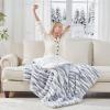 Westinghouse Heated Throw Blanket, Leopard Electric Throw Blanket, Luxury Faux Fur to Flannel Reversible, 6 Heating Levels & 2-10 Hours Time Setting, Machine Washable(Throw, 50″x60″)(Bluegrey Stripe)